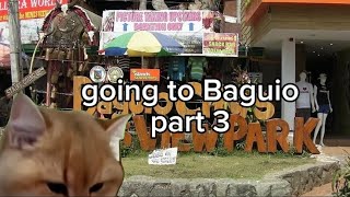 going to Baguio part 3 (cat memes)