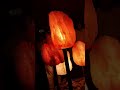 #rarest and oldest salt mine