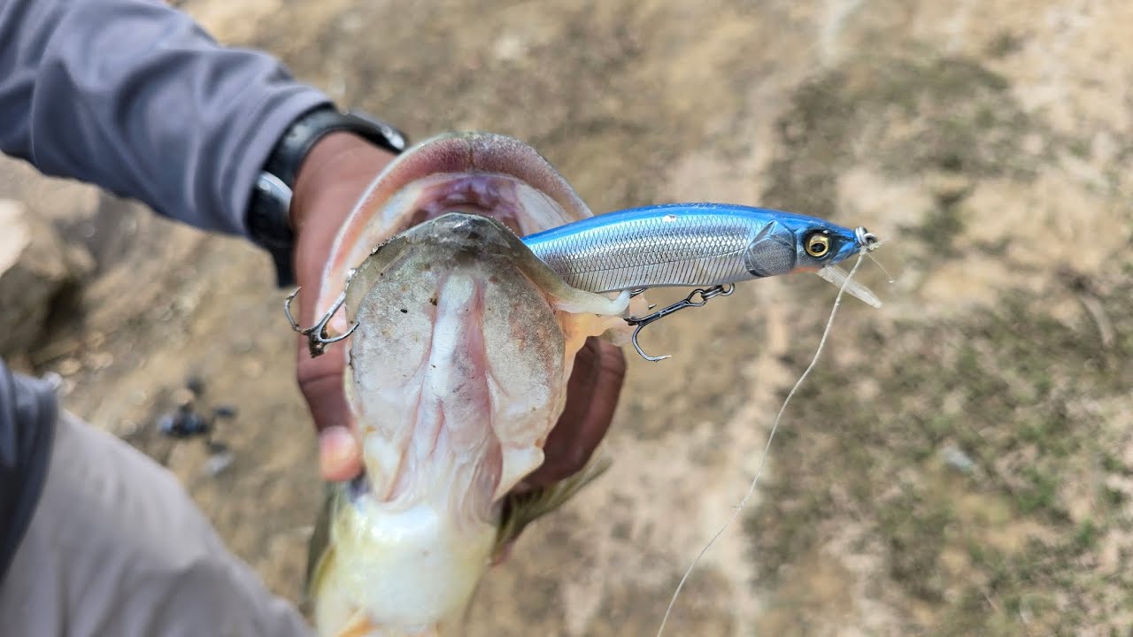 Keystone lake bass fishing 