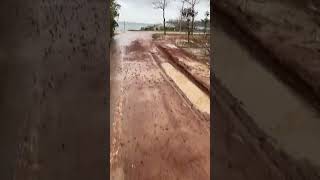 Kalamis Parki; 08.12.2023