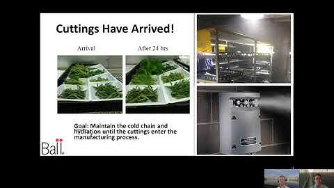 Tech On Demand: Success With Cuttings (Part 2) – Receiving & Storage