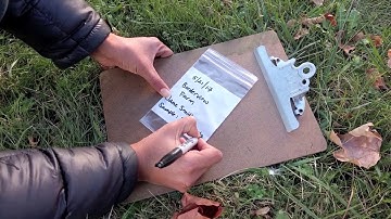 Step by Step Instruction on How to Take a Soil Sample for Analysis