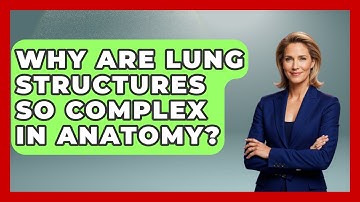 Why Are Lung Structures So Complex In Anatomy? - All About Anatomy Answers