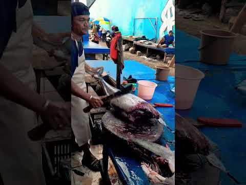 The Art of Filleting Tuna: #fishcutting #viralvidioshort #fish #fillet #fishing #seafood #food