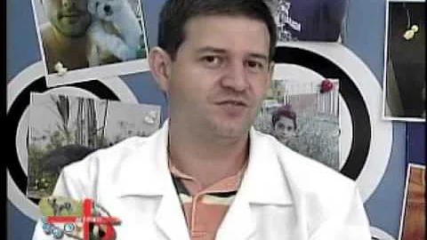 Como tratar doença hepática em gatos?