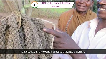 Ch 4 | SST | Class 5 | DRC - The Land of Dense Forest | For children
