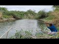 Small Single Hook fishing|Fisherman Catching Tilapia fishes To Catch With Small Hook|Unique Fishing