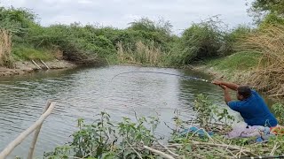 Small Single Hook fishing|Fisherman Catching Tilapia fishes To Catch With Small Hook|Unique Fishing