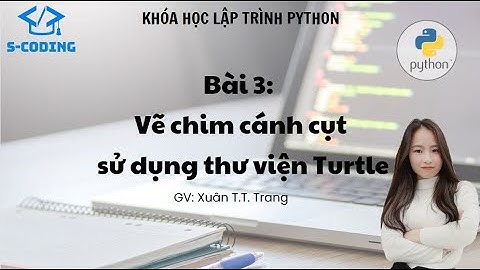 Lập Trình Python bài 3: Vẽ Chim Cánh Cụt Đơn Giản Với Turtle