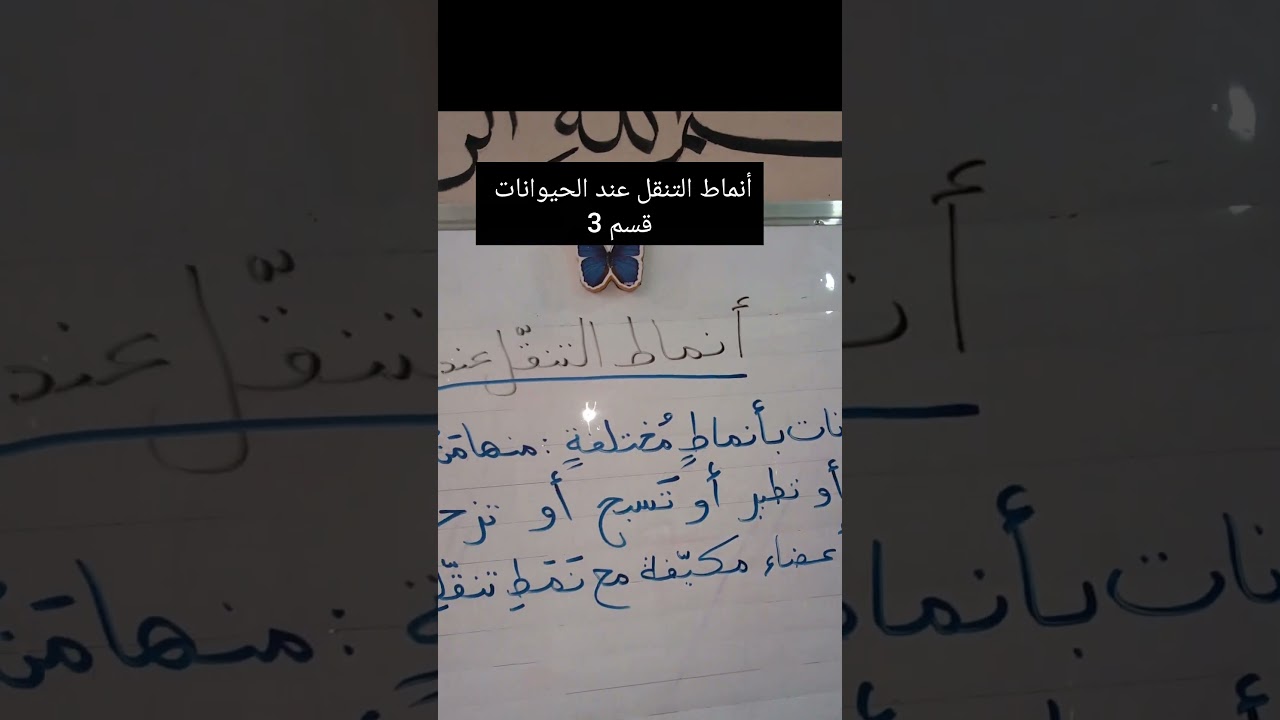 أنماط التنقل عند الحيوانات قسم 3