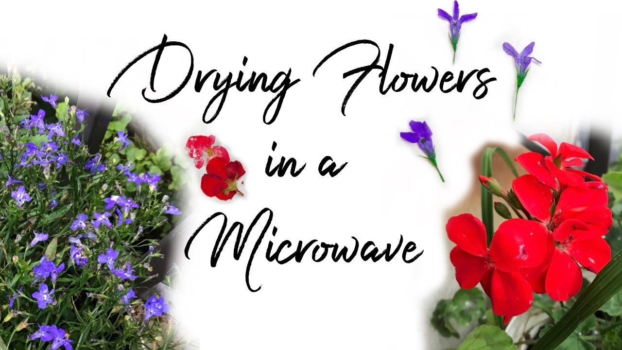 Learn How to Press FlowersIn the Microwave!