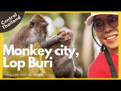 Monkey City | LopBuri | Thailand | Thailand one day trip