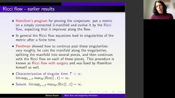 Natasa Sesum - Ricci flow and singularities