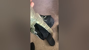 Trying to tame my Nile monitor