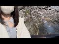 さくら舞い散る中に忘れた記憶と🎶