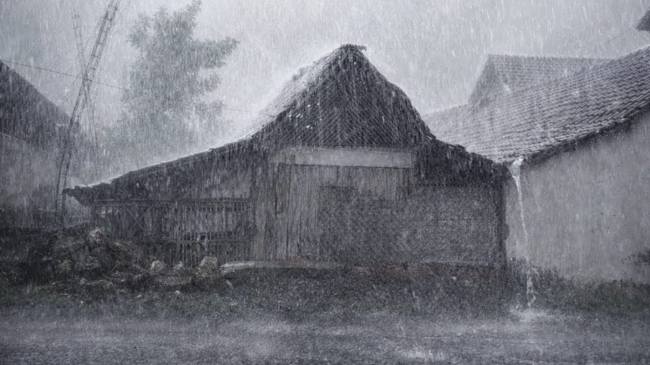 Rain Stream For Study, Sleeping 🌧️ Setting Up Tent In Rain ASMR