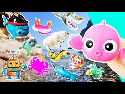 Learn Sea Animal Names for Kids at the Shore: Clownfish Polar Bear Shark Fish Whale Eel Crab