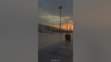 هو الذي أنزل السكينة في قلوب المؤمنين | سورة الفتح | القارء عبدالله الخلف