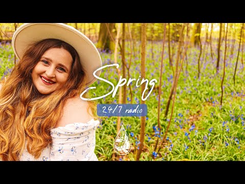 Spring 24/7 Radio 🌼 fresh indie/folk/acoustic music to brighten your day | alexrainbirdRadio