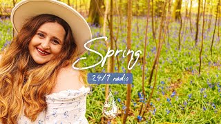 Spring 24/7 Radio 🌼 fresh indie/folk/acoustic music to brighten your day | alexrainbirdRadio