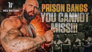 YOU CANNOT MISS!!! Prison Gangs
