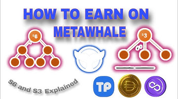 How Metawhale works (Full explanation)
