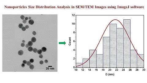 #ImageJ_Analysis #Histogram      Grain (particle) size distribution of SEM/TEM using imageJ Software