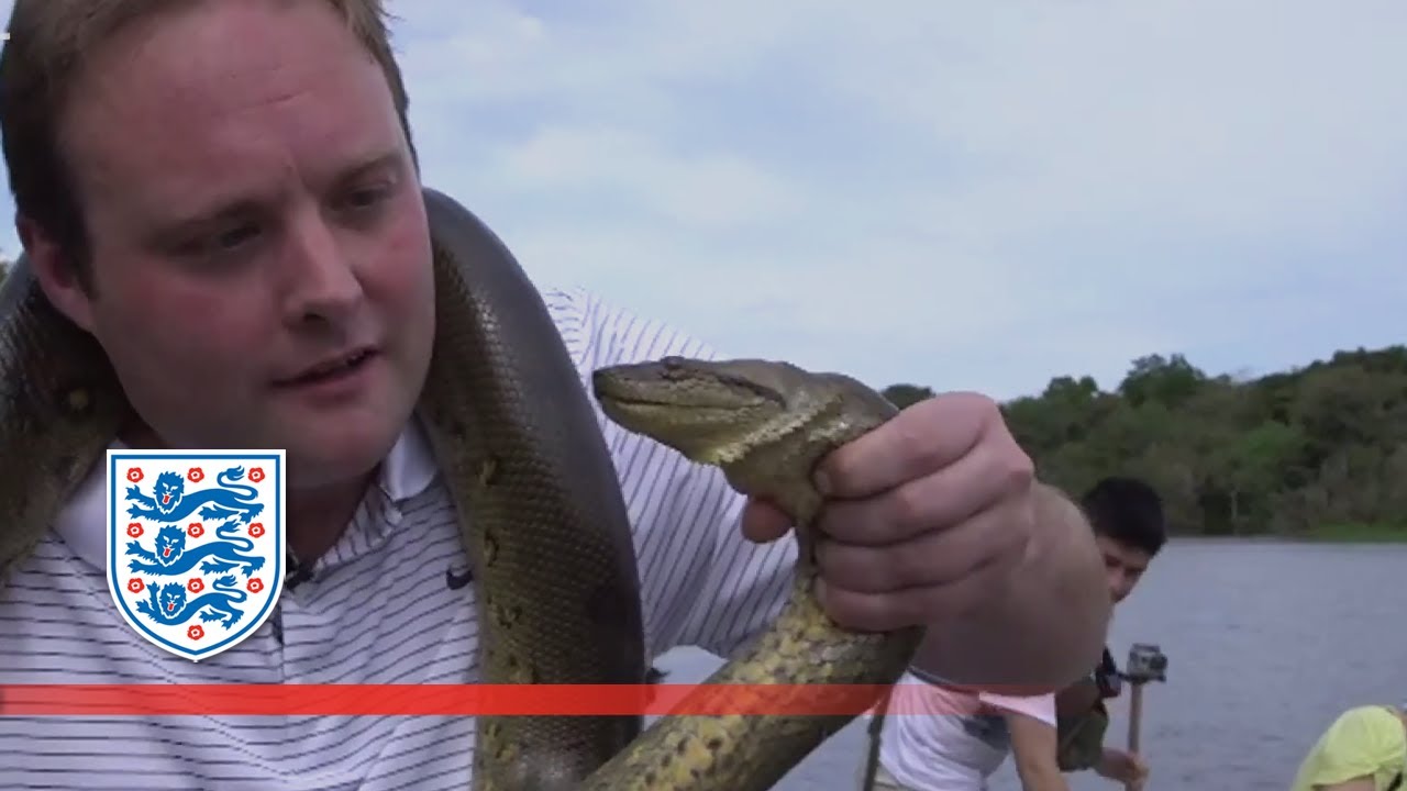 steph houghton injury Tubes' close encounter with an anaconda | Tubes In Brazil