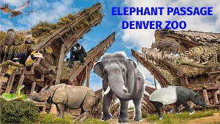 Uncaged Zoo Tours: Toyota Elephant Passage at The Denver Zoo #uncagedzootours