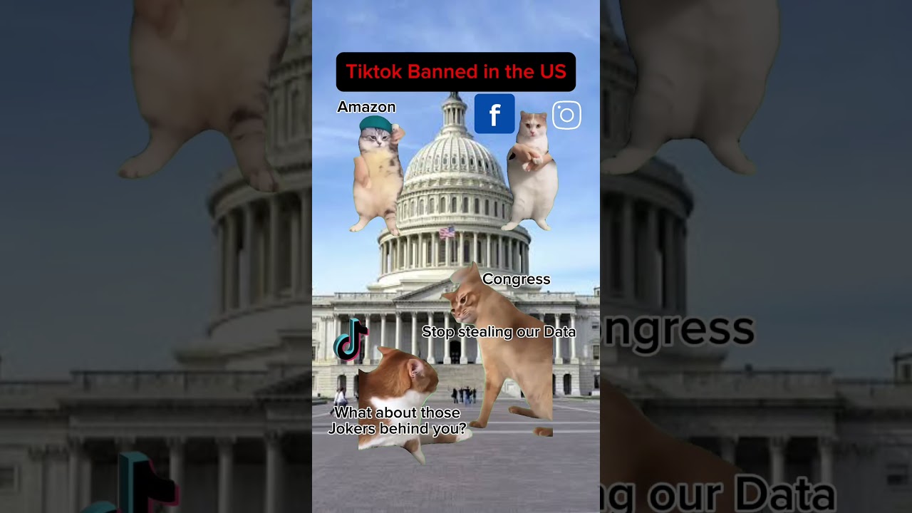 Tiktok banned in the US 