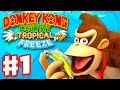 Donkey Kong Country: Tropical Freeze - Gameplay Walkthrough Part 1 - World 1: Lost Mangroves 100%