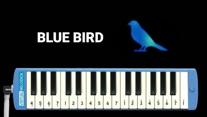 Not Pianika How You Like That Blackpink Youtube