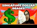 Singapore Dollar Money and Currency Travel Vlog in Hindi - All about Singapore Money Exchange