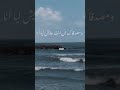 قالتلي عارفة عمرو دياب   اغاني حالات واتس واتس  حالات مصر  