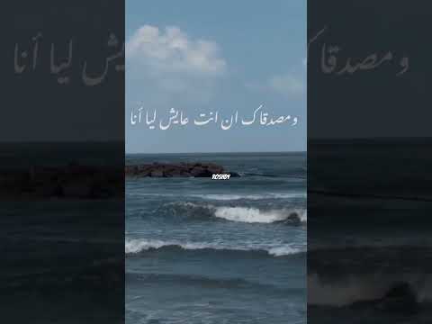 قالتلي عارفة عمرو دياب   اغاني حالات واتس واتس  حالات مصر
