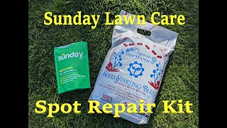 Sunday Lawn Seed Patch Kit | Planting Grass Seed