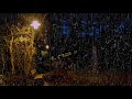 Soothing Rain Sounds In The Silent Park At Night | Cozy Rain Sounds For Sleeping