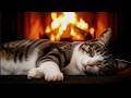 11 Hours Calming Cat Purring ASMR | Warm Fireplace Sounds for Deep Sleep