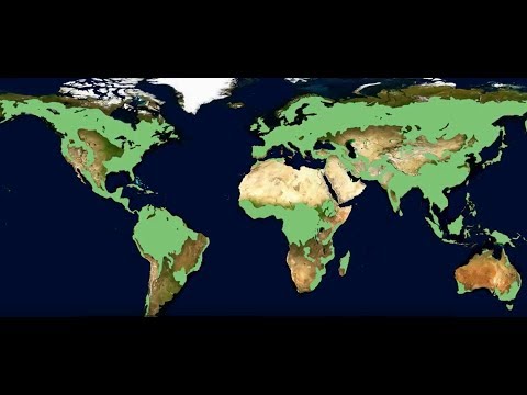 Τα 10 μεγαλύτερα δάση στον κόσμο