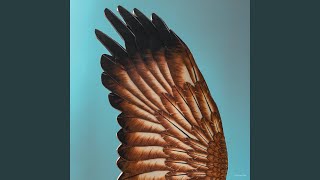 Eagle Eye Glock. (feat. I like her vibe)