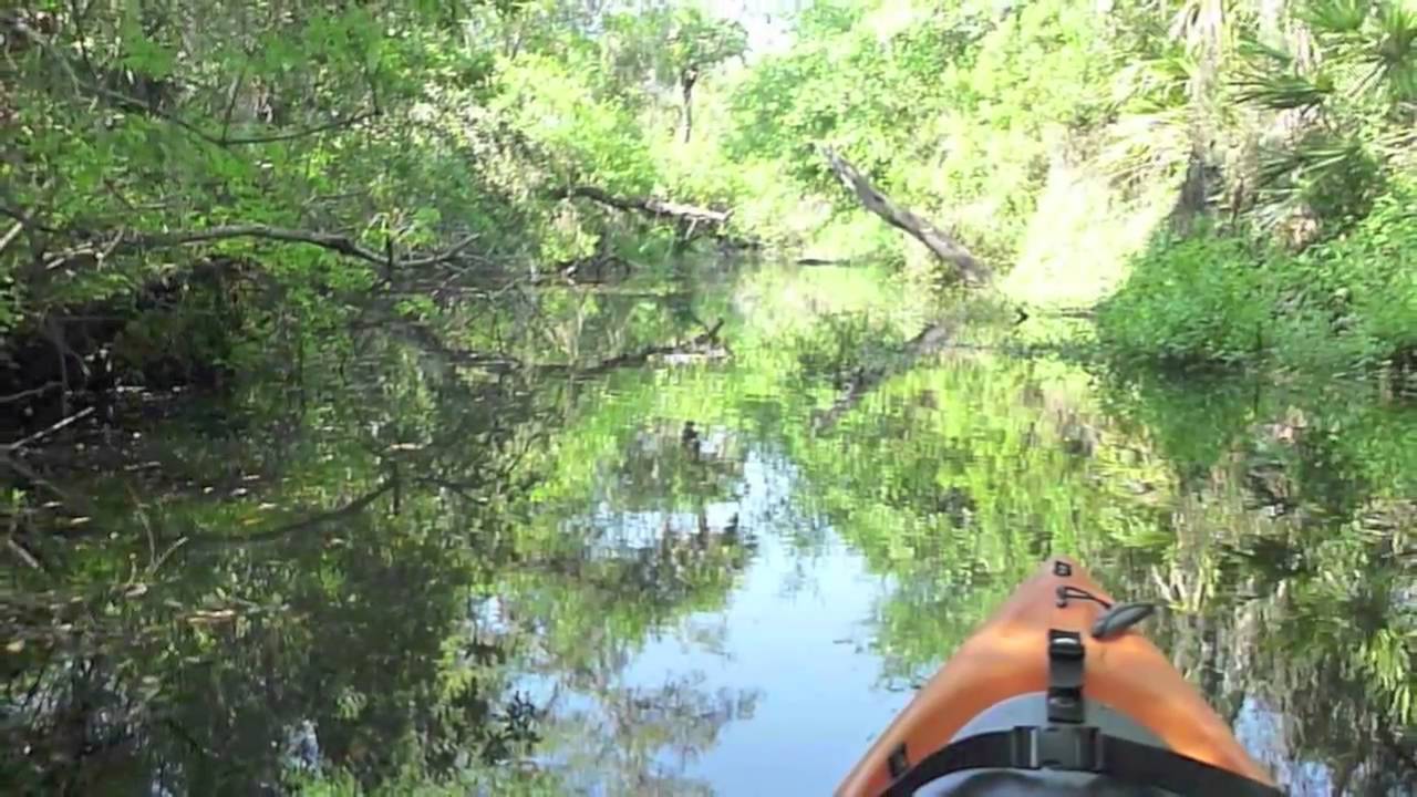 Deer Prairie Creek Kayak Explorers.mov YouTube
