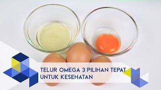 IPB Pedia: Mengenal Telur Omega 3