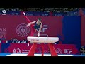 Artur davtyan arm  2023 artistic european bronze medallist pommel horse