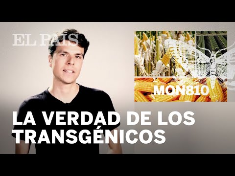 Video: 3 formas de evitar los alimentos modificados genéticamente