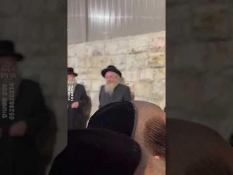 Karlin Rebbe At a Chupa of an orphan - Kislev 5785