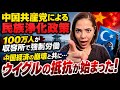 【中国を許すな】世界が立ち上がる‼︎100万人が収容所で強制労働…ウイグルの抵抗が始まった!