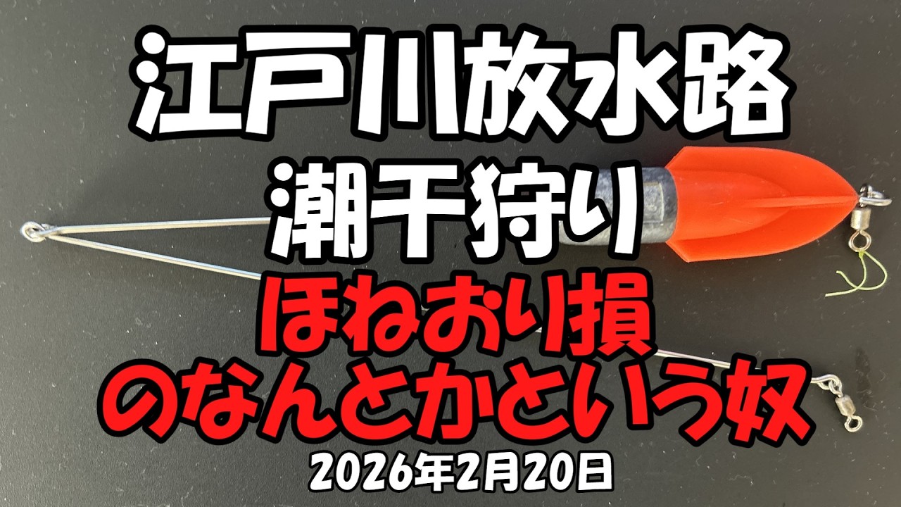 【潮干狩り】江戸川放水路潮干狩り（2026年2月20日）