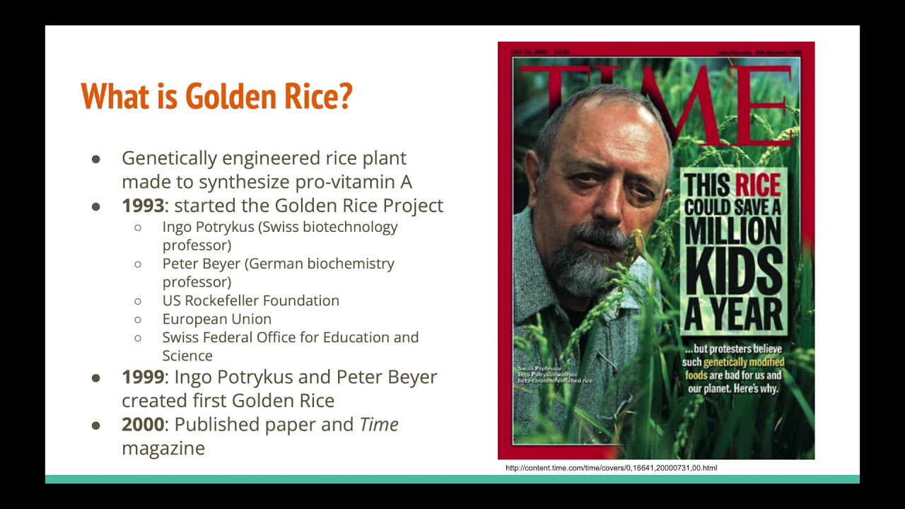 Golden Rice Time Magazine