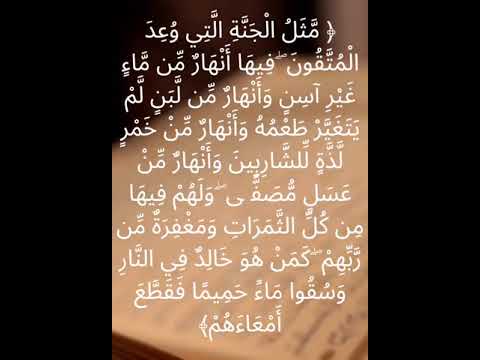 سورة محمد الآية 15