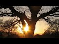 classical relaxing music